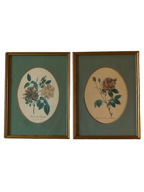 Two Vintage Framed Botanical Floral Prints, Green & Gold